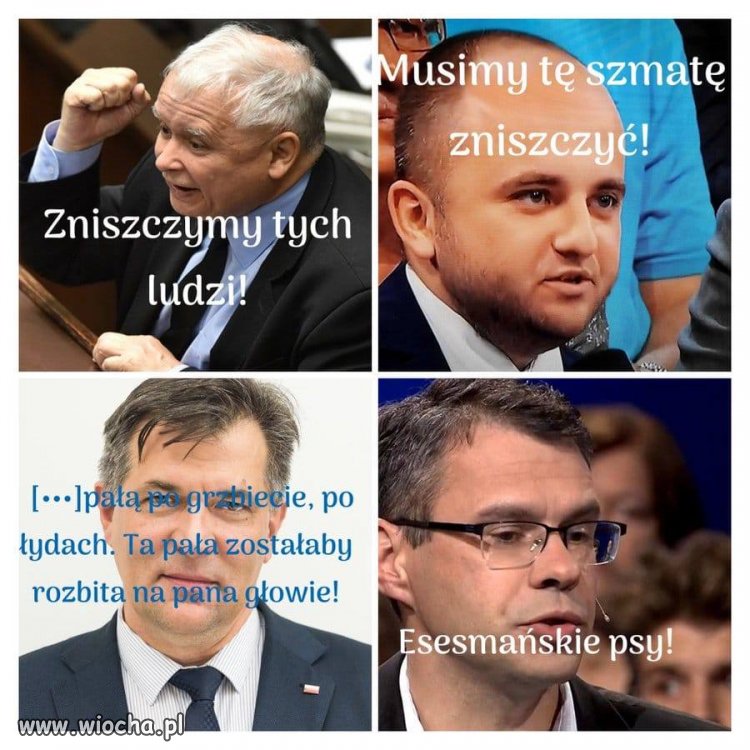 Znajomi twierdzą, że nazywając ich bandą, schodzę do ich poziomu