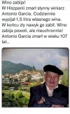 Wino zabija...