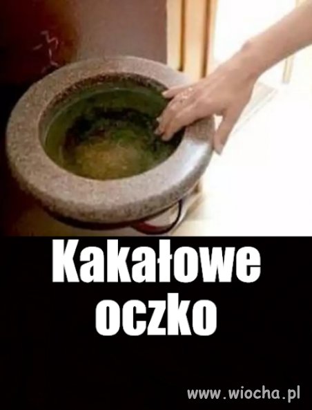 Jeśli wiesz co żyje w wodzie święconej