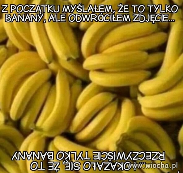 Bez polityki.
