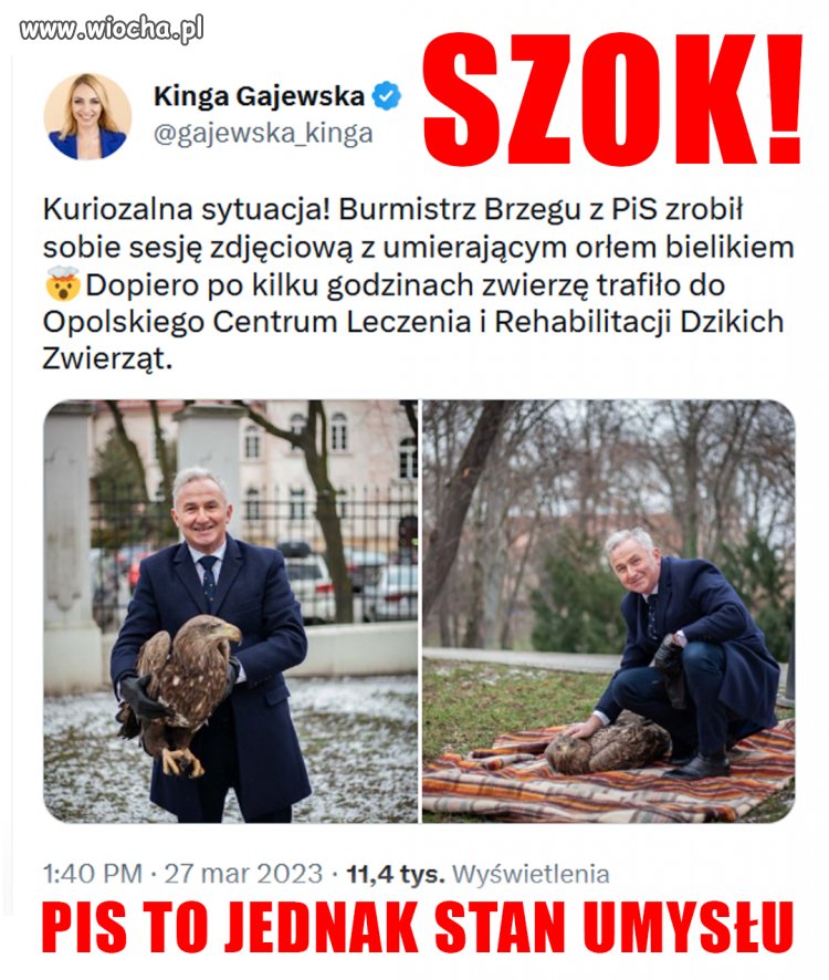 Kolejne potwierdzenie  mojego nicku