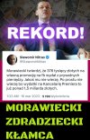 Kłamliwa gadzina