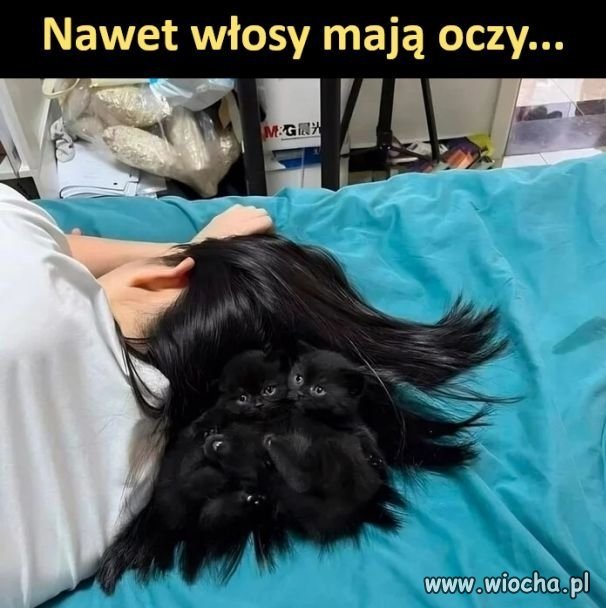 Na poprawę humoru