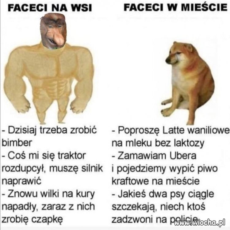 Pozwólcie, że nie skomentuję