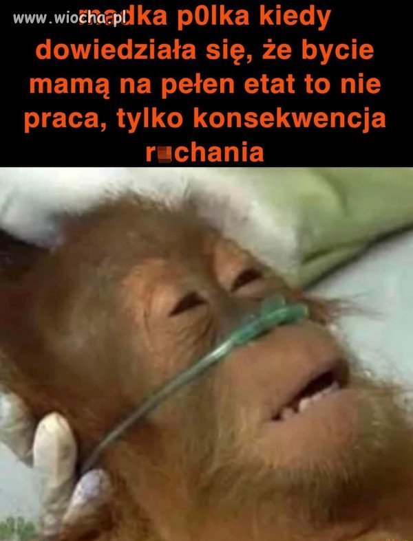 Oj tak ..ale nie tylko polskie karyny tak mają..