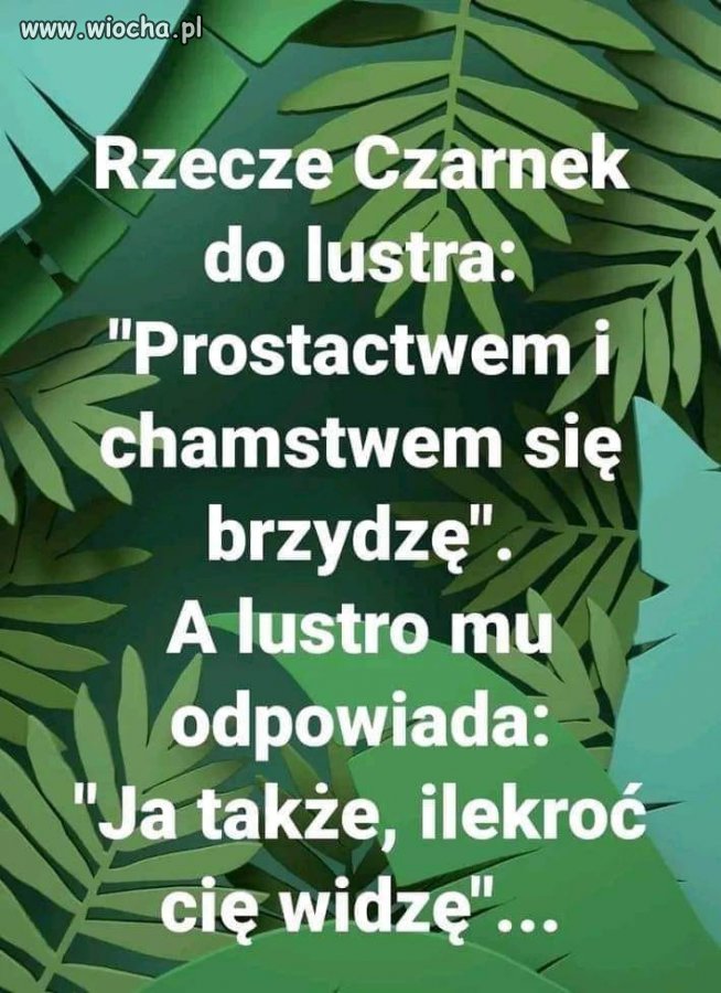 Wierszyk na dziś