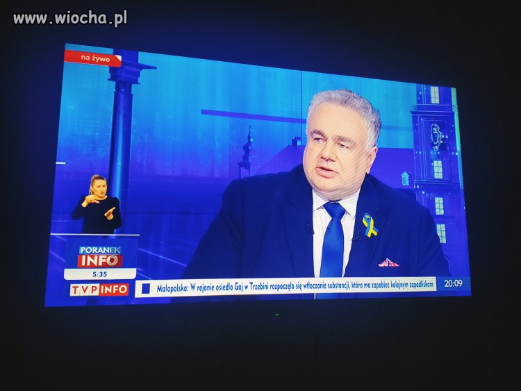 Wieprz w szczujni 