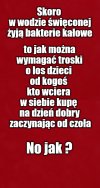 Kolega pytał