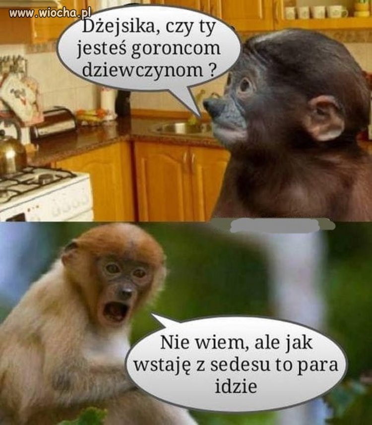 No to jesteś