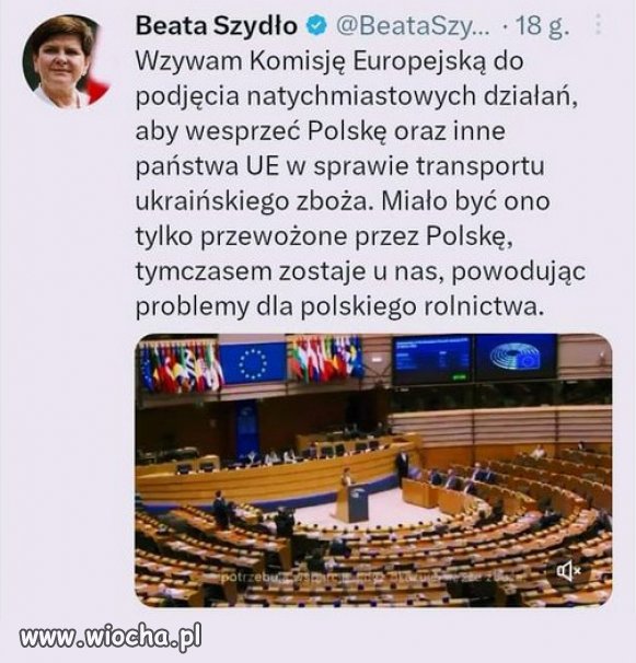 Oborowa z brocha w akcji...