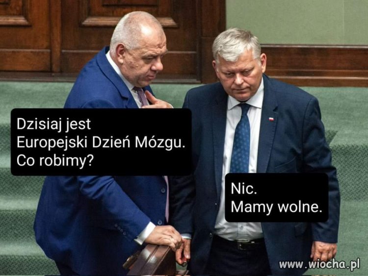 Oni to codziennie mają wolne
