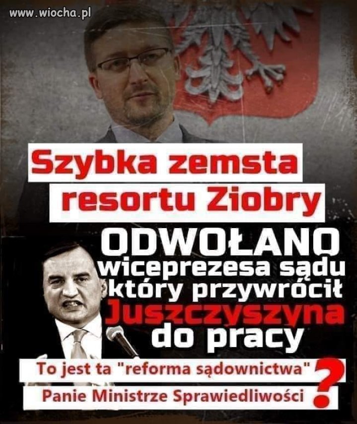 Mściwe bezwzględne NIC