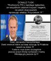 Holota PiSu zdegenerowala narod, swoja polityka nienawisci!