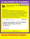 To się w pale nie mieści