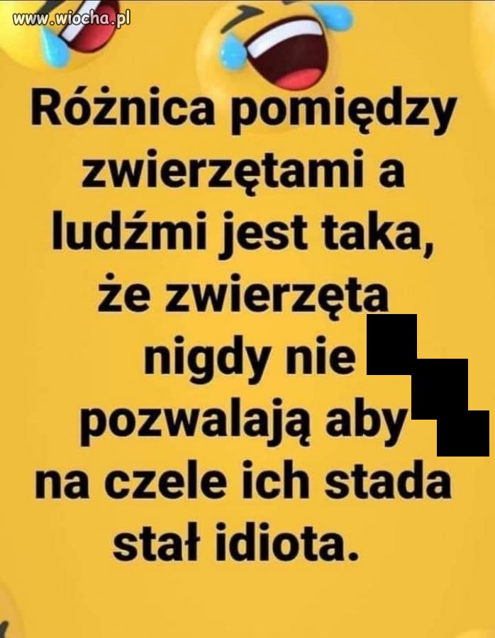 Taka prawda 