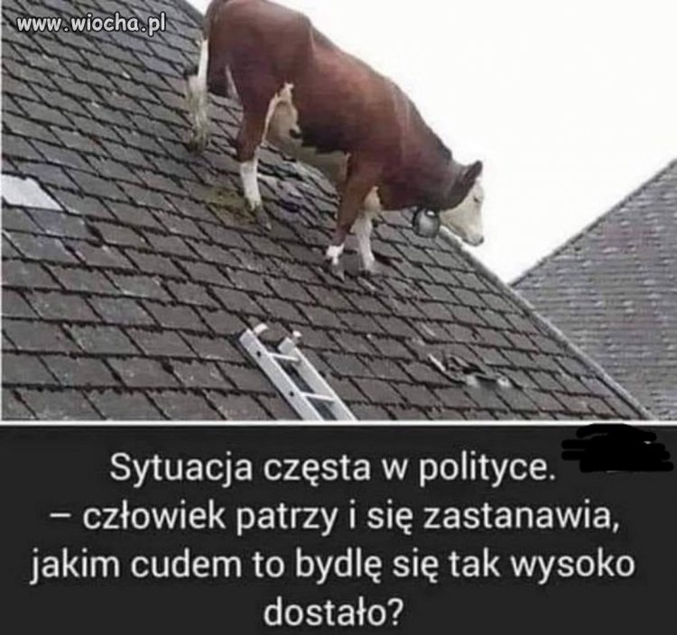 Wielu takich mamy