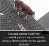 Wielu takich mamy