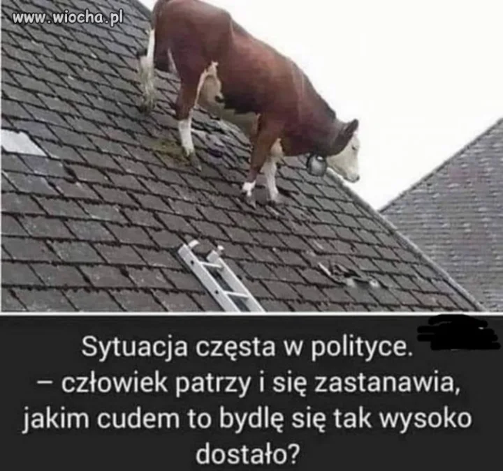 Wielu takich mamy