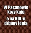 Nie święci dzbany lepią