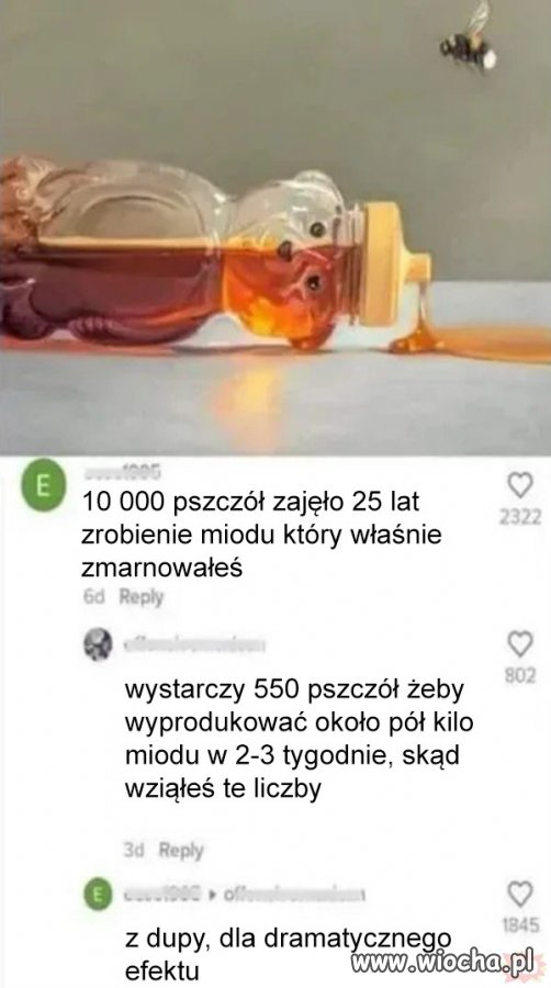 Miodek.