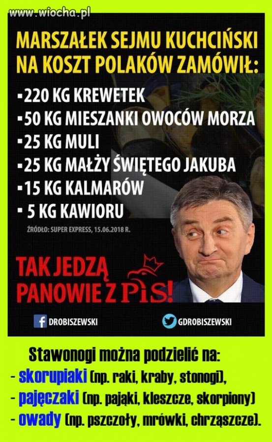Ale jak pis sobie zamawia stawonogi za nasze podatki, to jest ok