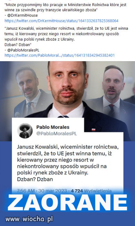 Bo w PiSie zawsze winny jest kto inny, za ich głupotę!!