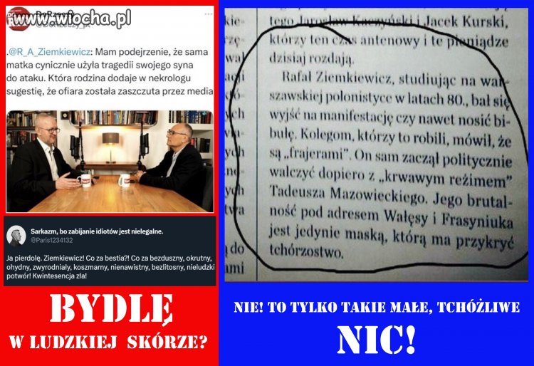 Nie mam więcej pytań