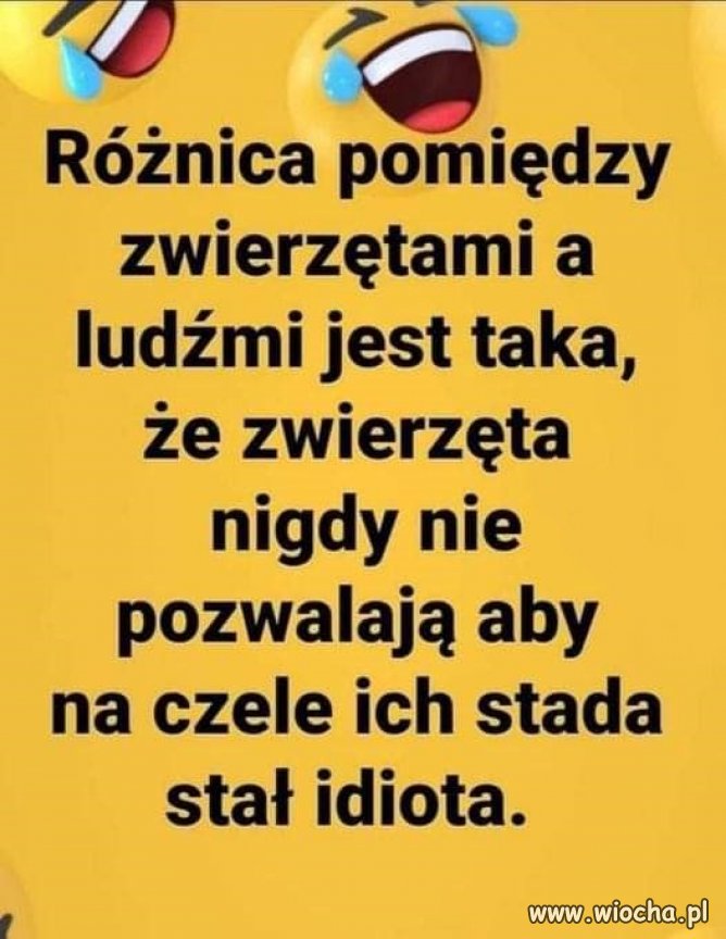 W punkt