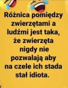 W punkt