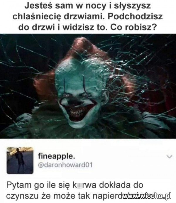 Co robisz?