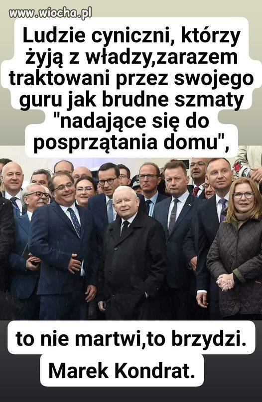100%