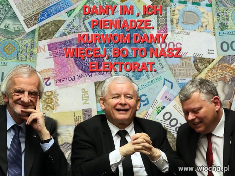 Program wyborczy