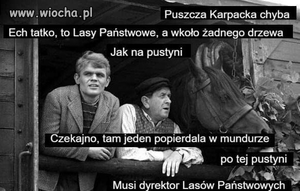 Pustynia Karpacka
