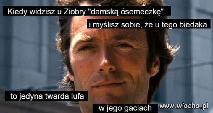 Miękiszon 