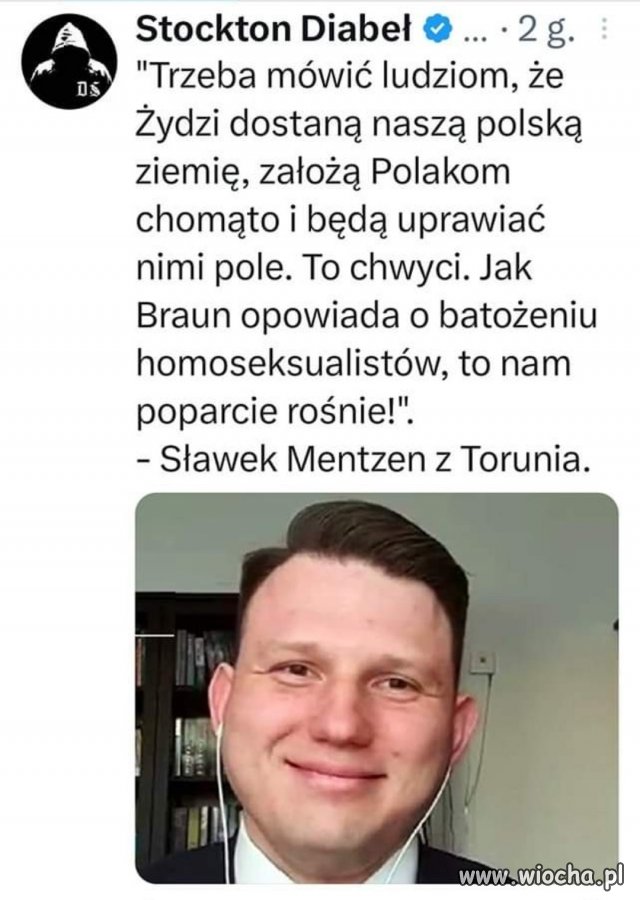 Polskie NSDAP?