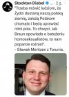 Polskie NSDAP?