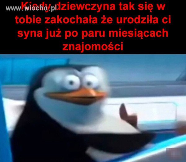 To musiała być miłość od pierwszego spojrzenia 