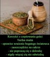 Jakie to proste