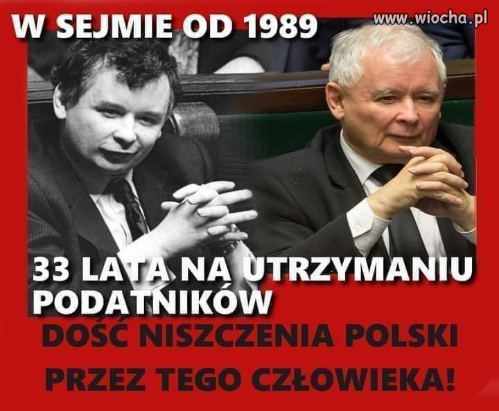 Nic w życiu nie potrafi tylko knuć w polityce między frakcjami.
