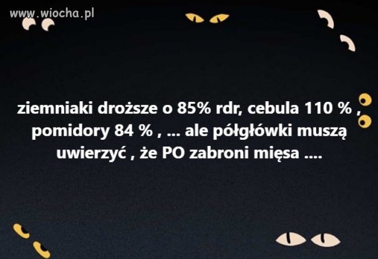 Kolejny dzień w Państwie PIS
