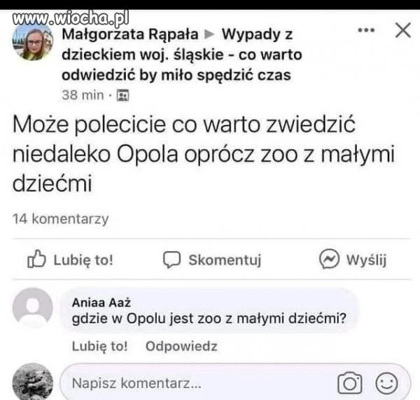 Zoo w Opolu.