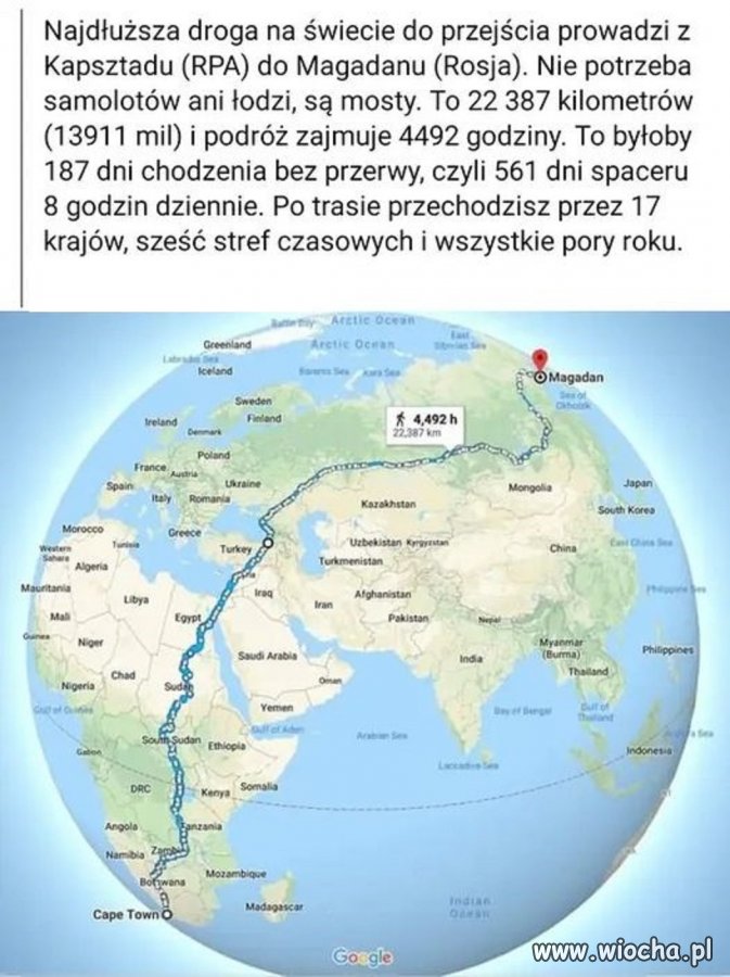 Taka ciekawostka