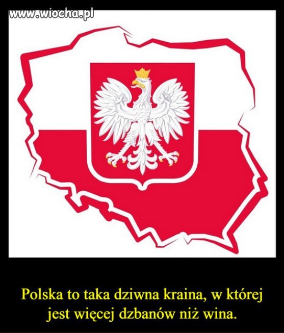 Wina jest tylko jedna - Tuska.