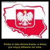 Wina jest tylko jedna - Tuska.