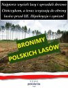 Polskie lasy PiS wyciął i sprzedał Chińczykom.