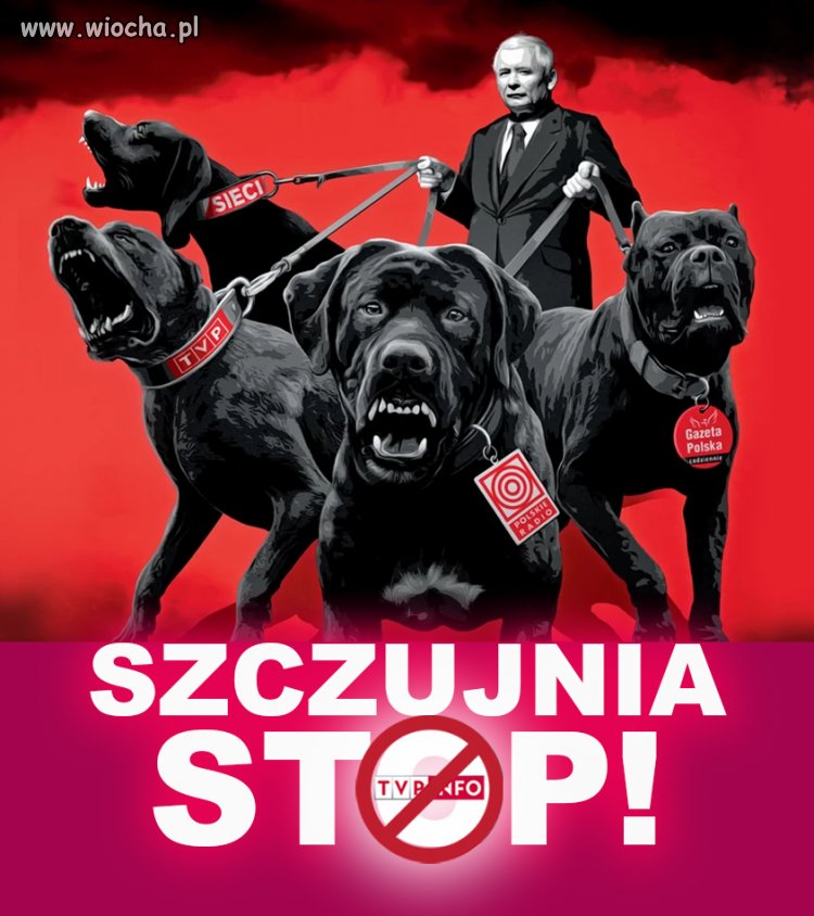 Uderzenie w posłankę Filiks było zaplanowaną akcją. 