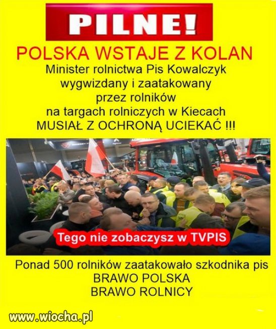 Judasze! S******* dziadu! To Najłagodniejsze z okrzyków