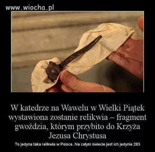 I na kolana pastuchy bo stalowego gwożdzia pokażą 