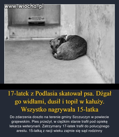 Podlasie to taka mała Rosja, bezmózgi i motłoch 