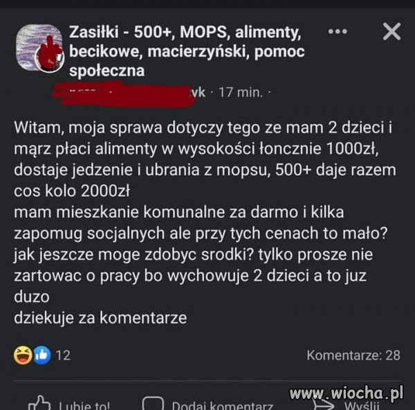 Socjal.